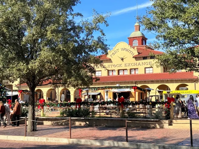 PhD Girl’s Daily Vlog