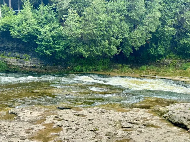 Elora Gorge | Toronto’s Mild But Memorable Float Trip 🚣♀️🌊  