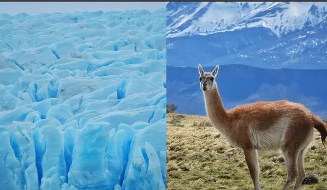 My 3.5 Days in Torres del Paine: Landscapes, Hikes & Soul Cleansing 🧊