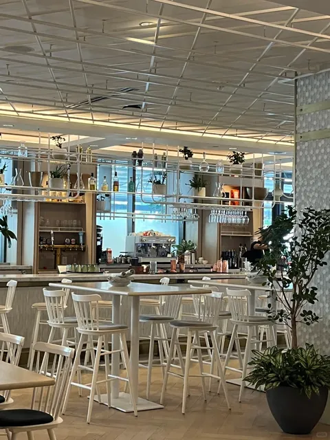 Burlington Day Trip｜These Spots Are Absolute Gems 🥺