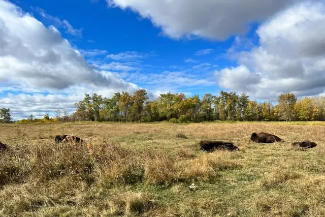 🇨🇦 Road Trip Across Canada 🇨🇦—Saskatoon 1️⃣