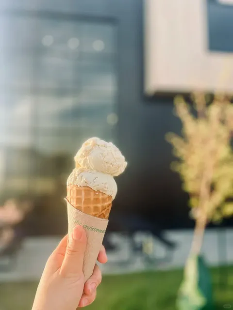 🇨🇦 Regina Ice Cream Shop Recommendation: DANDY'S 🍦