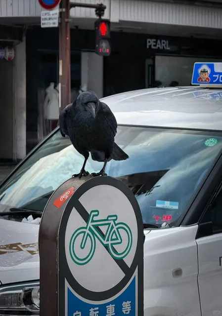 Kanazawa Castle: The Samurai Town of Hokuriku 🏰