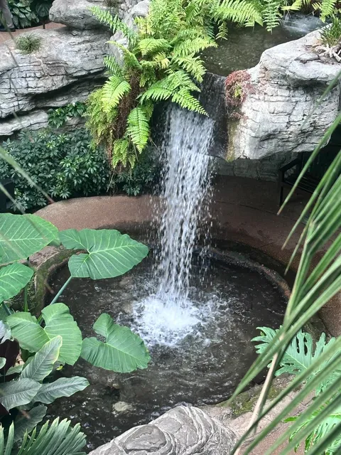 Opryland Hotel Nashville – Highly Recommended! 🏨