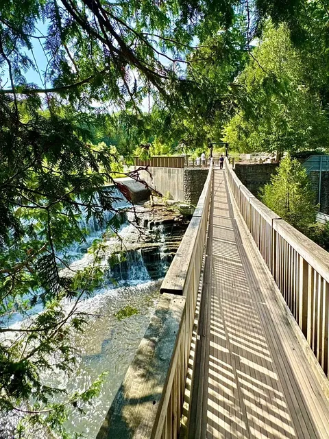 🔊 Nature Lovers' Paradise