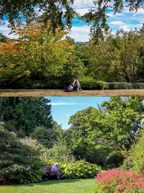 🏴󠁧󠁢󠁳󠁣󠁴󠁿Edinburgh Royal Botanic Garden Tour Guide🏡
