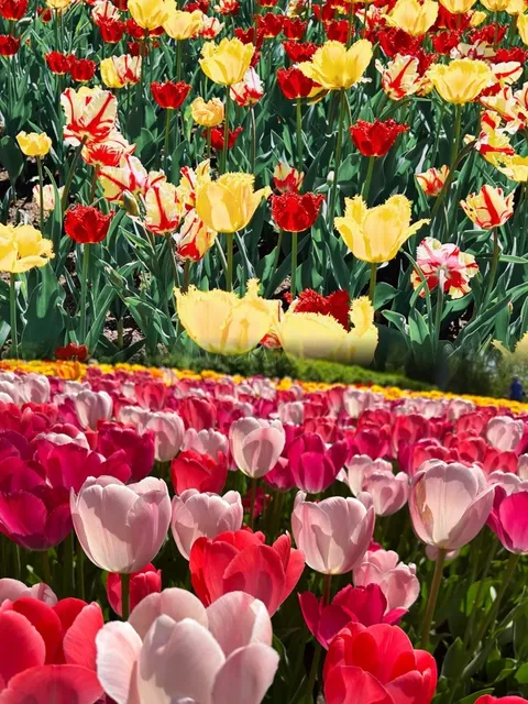 🇨🇦 7 Spots in Ottawa in One Day｜