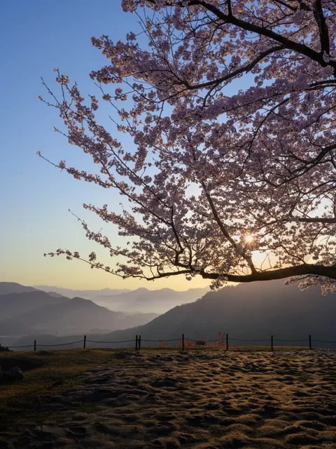 🌸🌺 The Sky's Castle - "Takeshita Castle Ruins" 🌿🍃