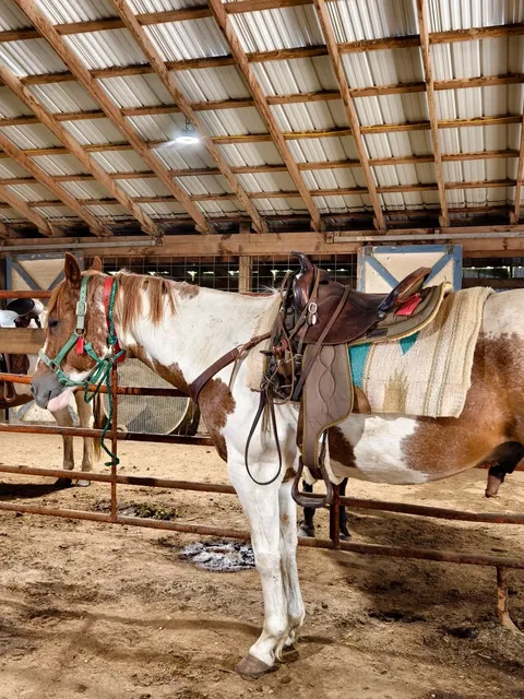 Michigan | Horseback Riding Guide Near Lansing 🐴