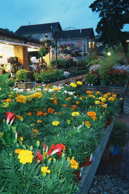 Boston's Must-Visit Spots 2/100 🌿