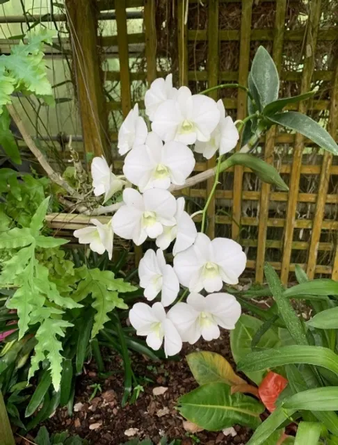 A Very Cool and Beautiful Park!