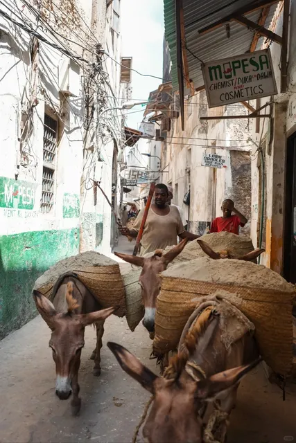 🌍 Off-the-Beaten-Path Kenya: Hidden Gems You Can't Miss!