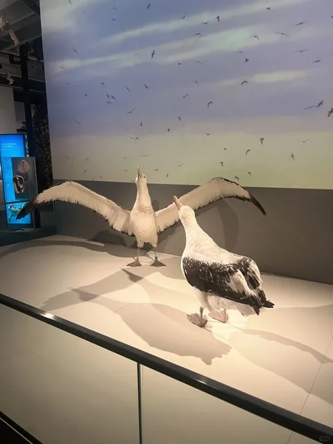 🇳🇿 North Island NZ Road Trip Ep.10: Wellington Day 1 (15/4)