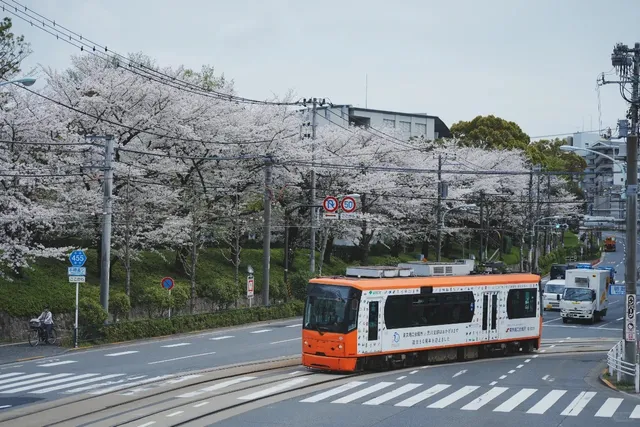  Tokyo Sakura Tram(2)