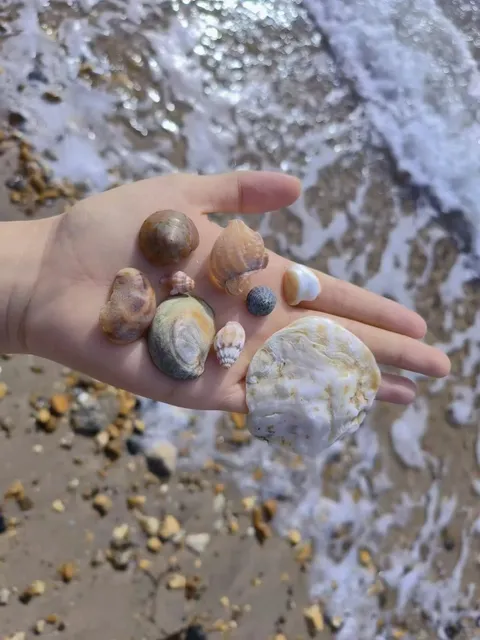 Come to Portsmouth to see the sea! 🌊