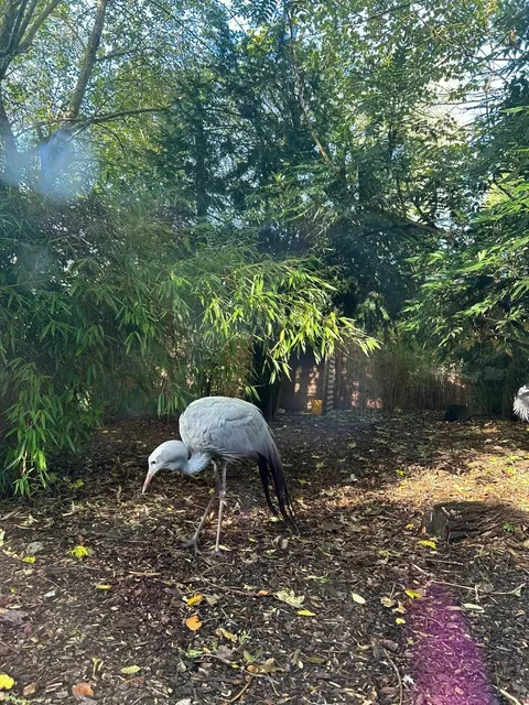 🇬🇧 6 Must-Visit Gems Near University of Birmingham