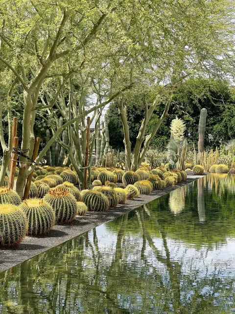 ​​"Modern Oasis in the Desert" | Sunnylands’ Minimalist Aesthetic 🌵✨​