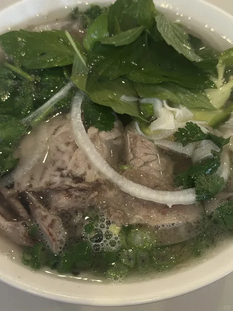 Philadelphia Food | A $12 Beef Pho on a Cloudy Day