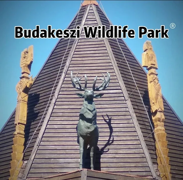 Budapest | Hidden Gem Zoo 🐾 Where You Can Feed the Animals! 🤙