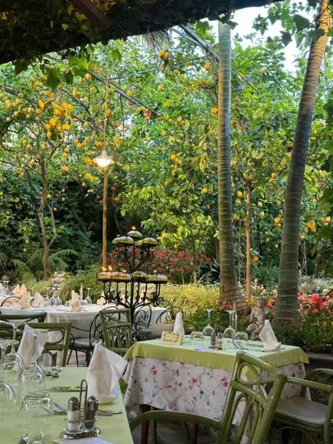 🍋 O’Parrucchiano La Favorita – Sorrento’s Century-Old Lemon Tree
