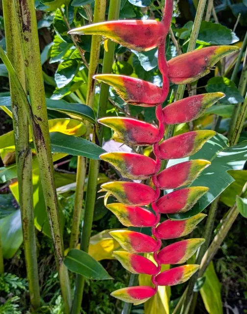 Beautiful garden -but pricey