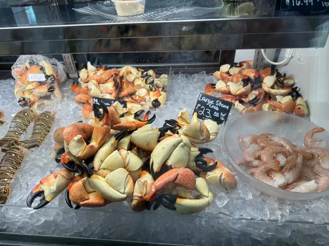 A Marathon of Seafood, Sun, and Six-Toed Cats​ 