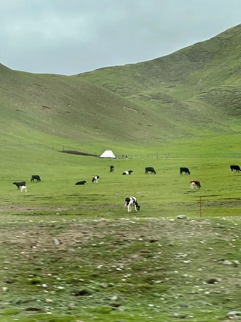 🌄 Budget Qinghai Adventure: Ultimate Student Guide!