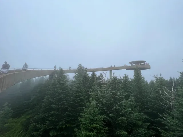 Great Smoky Mountains + Charlotte Travel Guide 🏔️✨