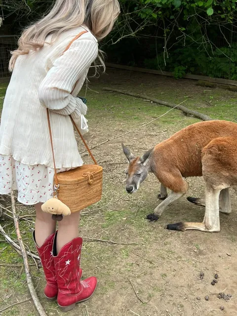 Touched a little kangaroo in Seattle! 🦘