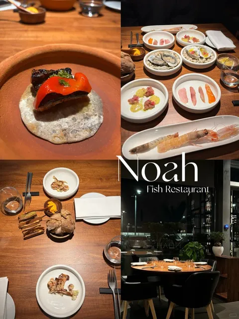 🇮🇹 Prato Area | Noah Restaurant