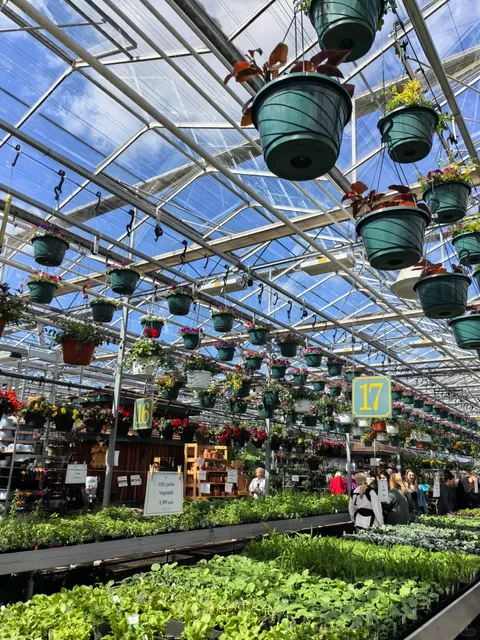 🇨🇦 Buying Flowers in Abbotsford 🌸