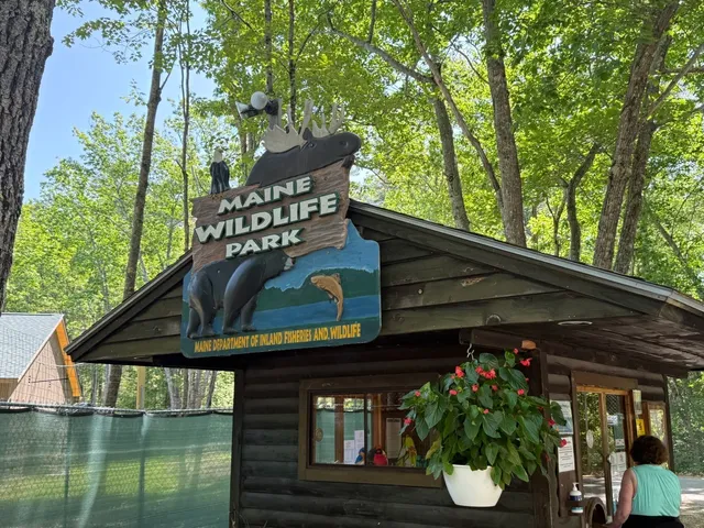 [Family-Friendly Spots Near Boston] A Hidden Forest Zoo in Maine