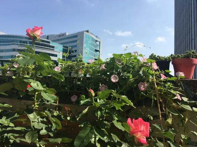 Pros and Cons of Buying Property in La Défense 🏙️💼