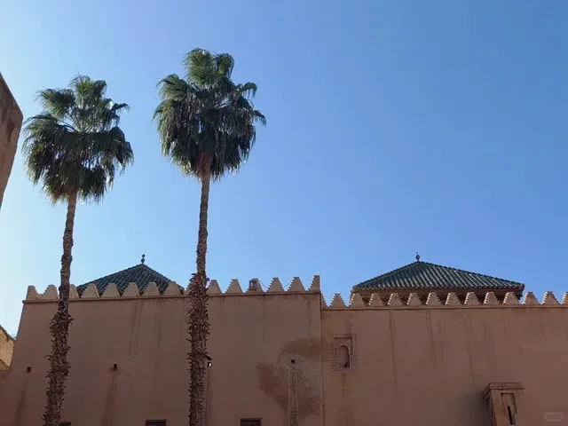 A Journey to the Saadian Tombs in Marrakech 🏟️🐬
