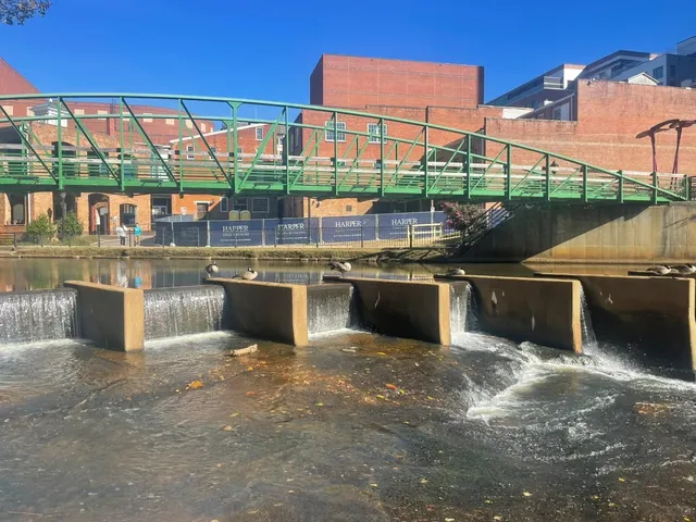 🌿🐇 Greenville’s Swamp Rabbit Trail
