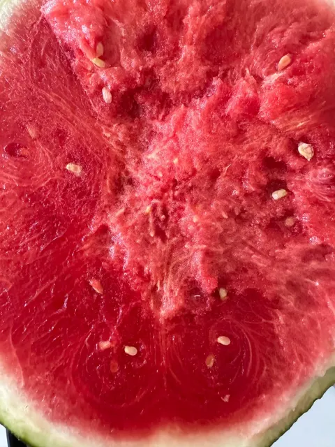 ATL Fun: Peach Picking Adventure