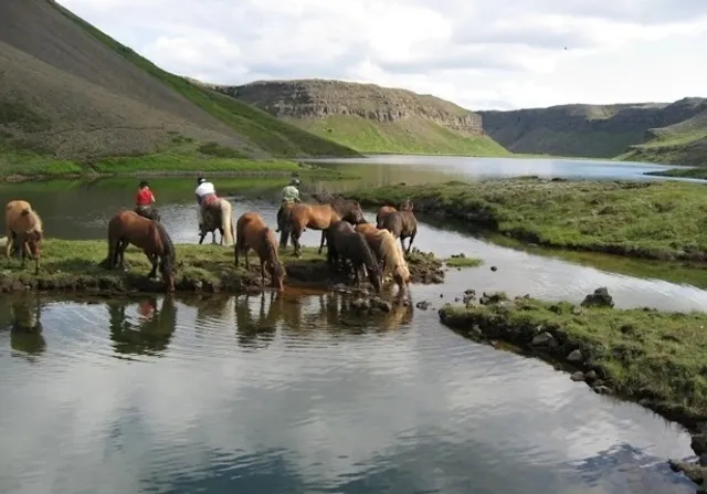 🇮🇸 Akureyri In-Depth Travel Guide