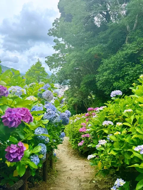 Nagisa Park's Endless Summer (2)