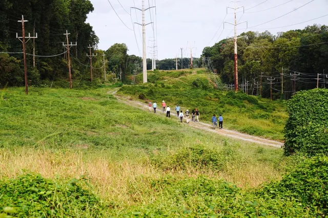 Great Washington Weekend Destination: Cabin John Park 🌳👨👩👧👦