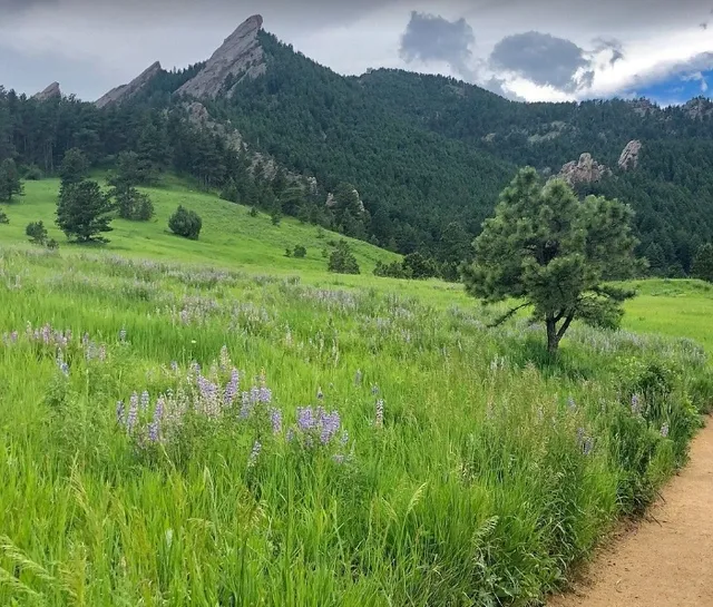  A Magical Journey Through Clouds and Streams