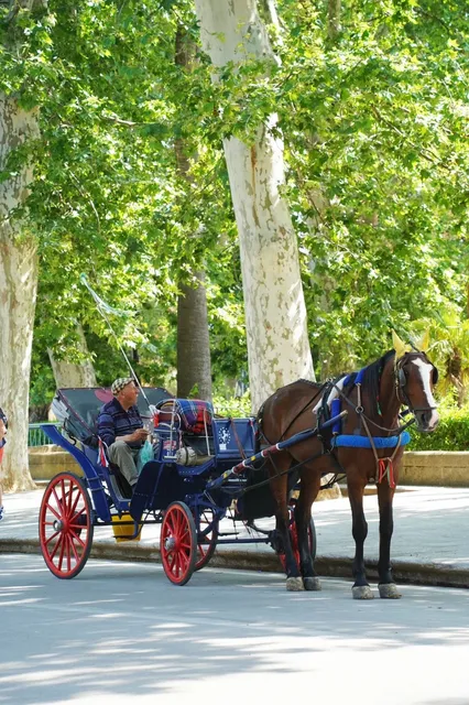 🇮🇹 First Stop in Sicily - Palermo｜2024 Travel Guide ✨