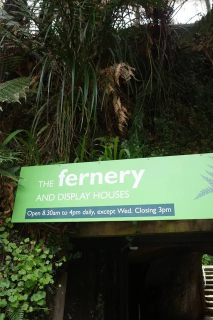 📍 New Plymouth: A City Garden Beneath "Little Fuji" 🏔️💐