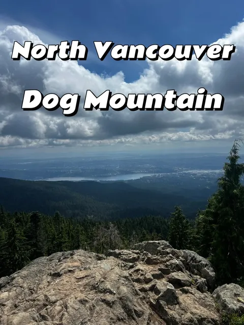 🇨🇦 North Van Hike | Beginner & Dog-Friendly! 🐾