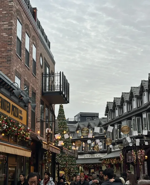 🚗 Chilliwack Christmas Day Trip: European-Style District 1881 Guide