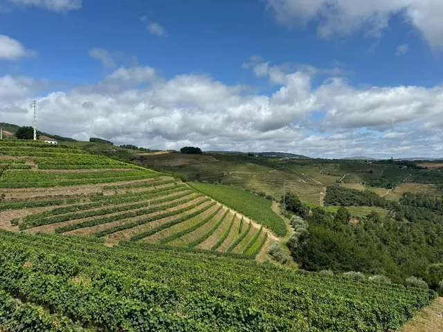 Porto Winery Tour at Quinta da Roêda | Croft Po