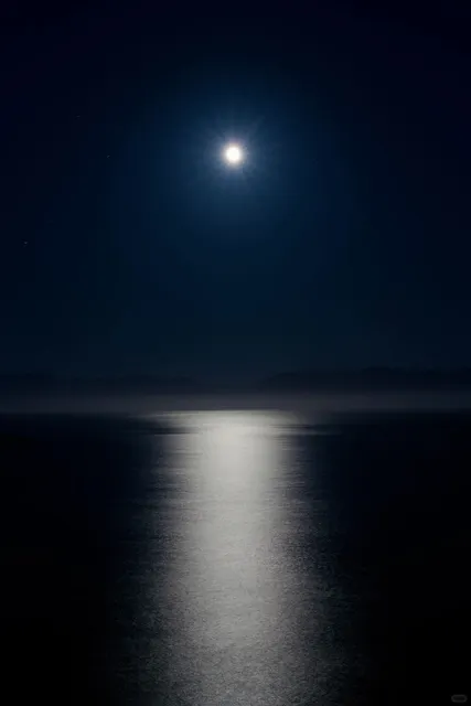 🇨🇦 Twilight Vibes on Vancouver Island