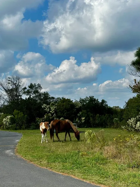 🏖️ East Coast Hidden Gem: A Classic “Old Money” Summer Getaway 🏖️