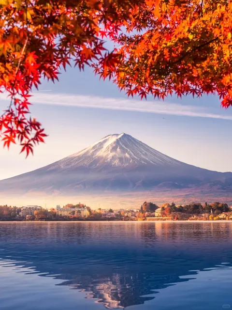 🍁 Japan Autumn Foliage Season | "The maple leaves this year don't see