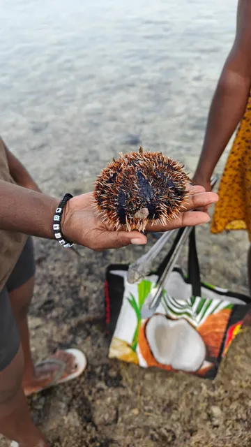 🇻🇺 Discover Vanuatu - Port Vila Edition 🌋✨