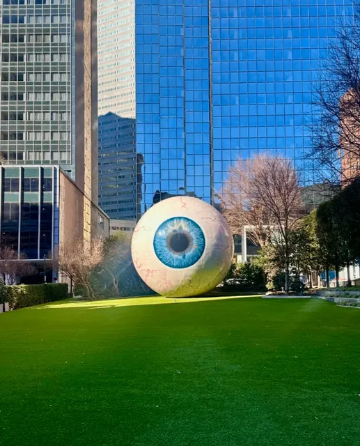 Who's starving and freezing in 0℃ Dallas? Oh, it's me🥲